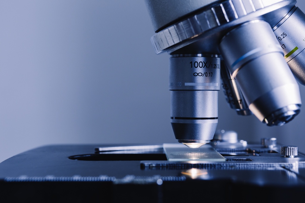 Human Bone Marrow cDNA   