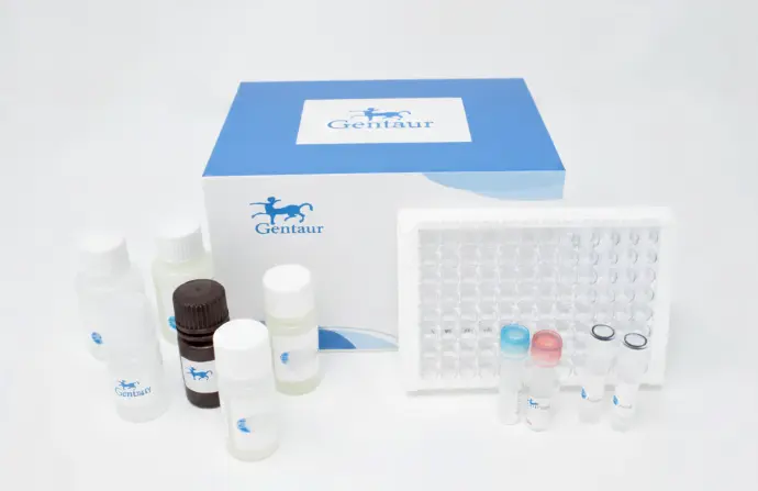 Cell Meter™ Intracellular NADH/NADPH Flow Cytometric Analysis Kit *Red Fluorescence* - 100 Tests