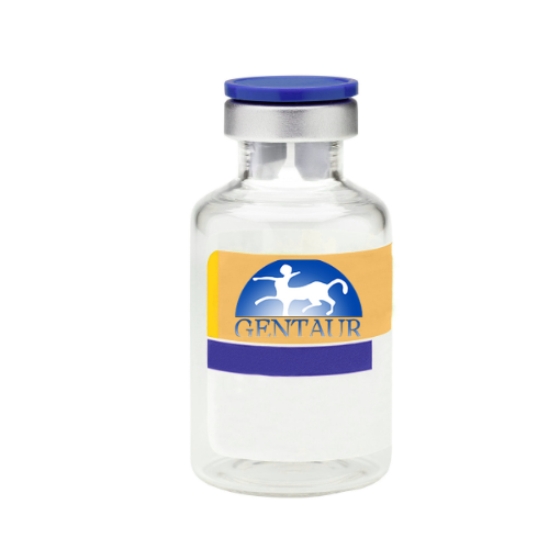 Recombinant Human Galectin 10, His Tag