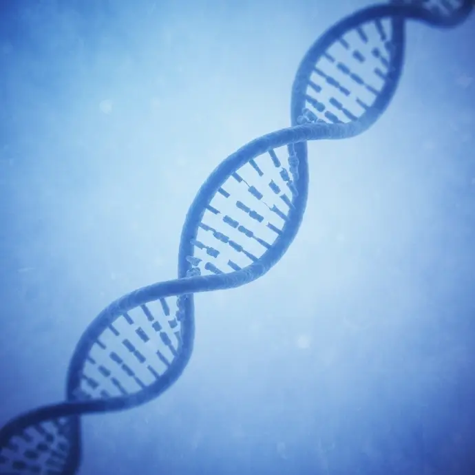 Monkey Skin Frozen Sections, Cynomolgus