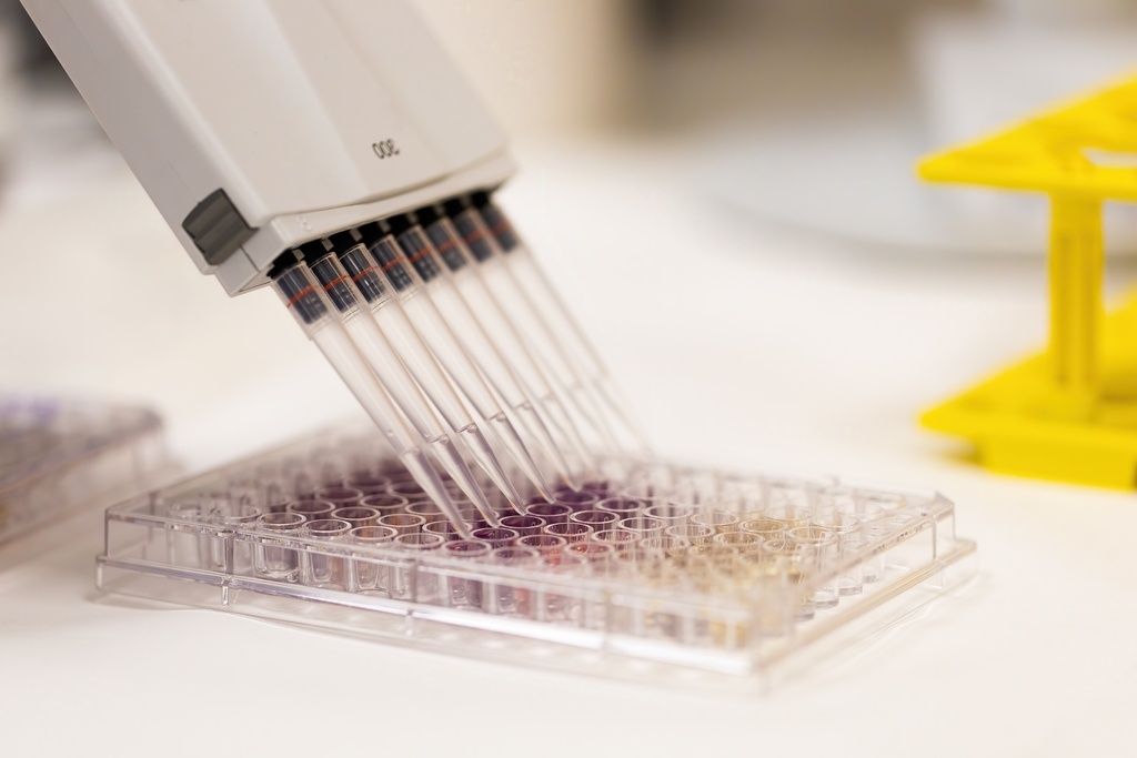 AmpliStar-II 8-Strip 0.1ml Low-Profile White PCR Tubes, Attached Optical Flat Caps - 120