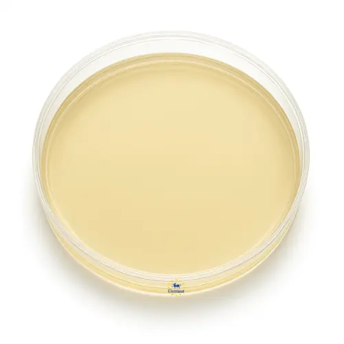 ALA DIFFERENTIATION DISKS
