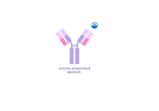 [ CAS9-AB-2] Cas9 monoclonal Ab [Clone 7A9]   